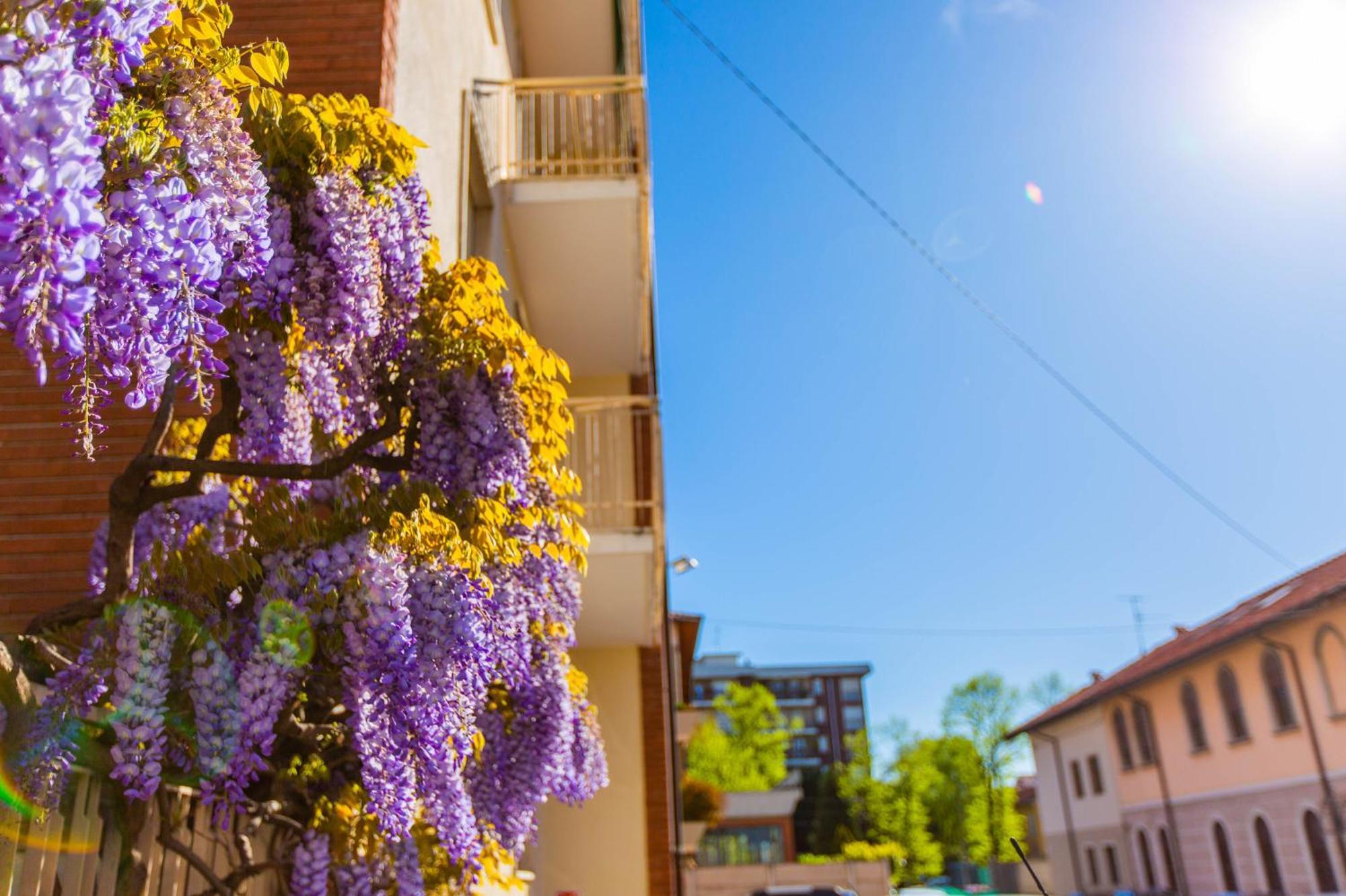Al 4 Hotell Busto Arsizio Exteriör bild